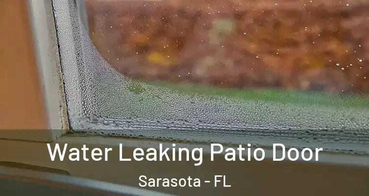 Water Leaking Patio Door Sarasota - FL